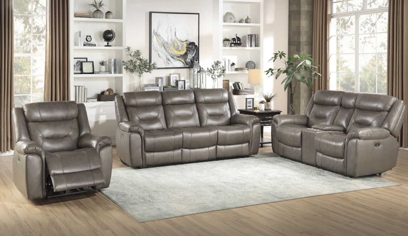 Danio Leather Power Reclining Sofa 