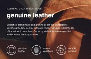 Bolsena Leather Recliner